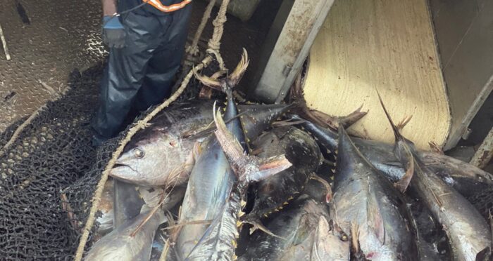 Logistique Conteneurs