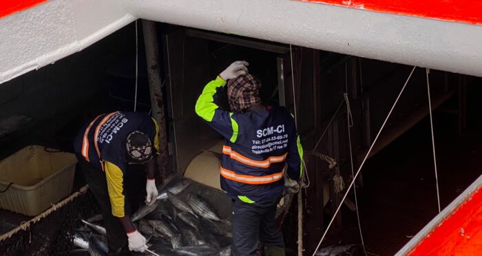 Consignation de Navires